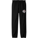 CT Whalers Tier 2 Youth Heavy Blend Sweatpant