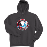 Jersey Shore Whalers Ultimate Cotton - Pullover Hooded Sweatshirt